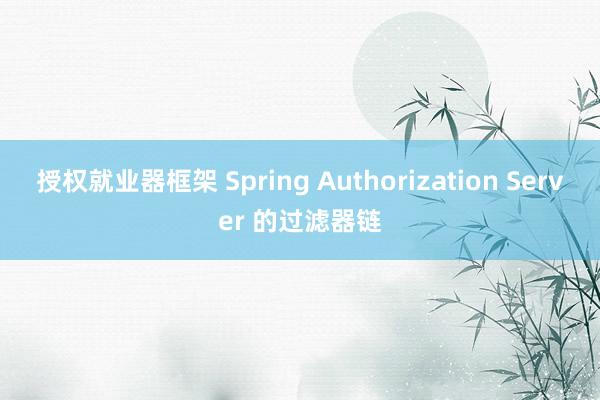 授权就业器框架 Spring Authorization Server 的过滤器链